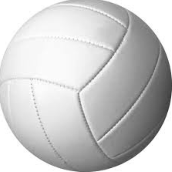 White Volleyball Ball